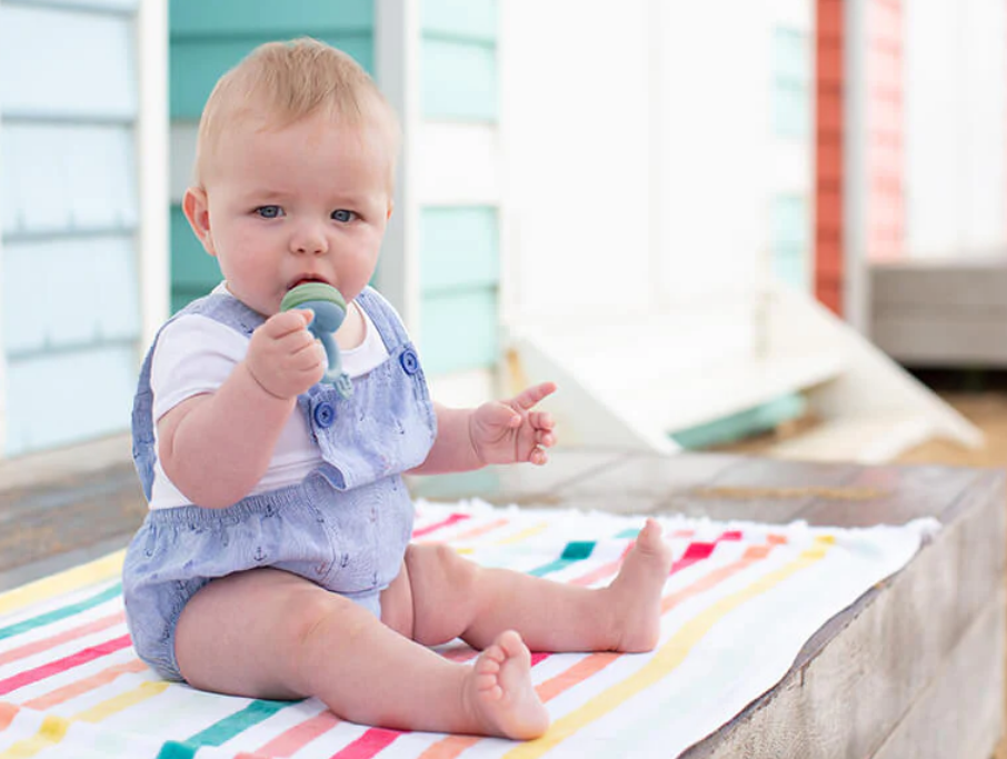 Baby Fresh Food Feeder: Tips and Advice for Introducing Solid Foods Safely