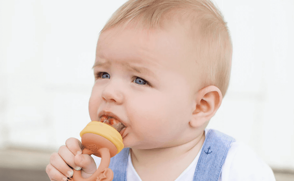 Discovering the Best Baby Fresh Food Feeder: Your Comprehensive Guide