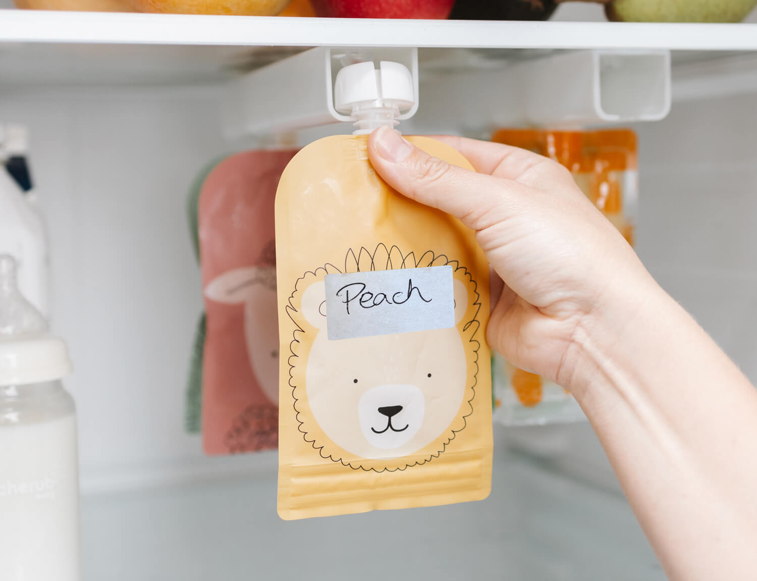 How to Store Homemade Baby Food in the Freezer?