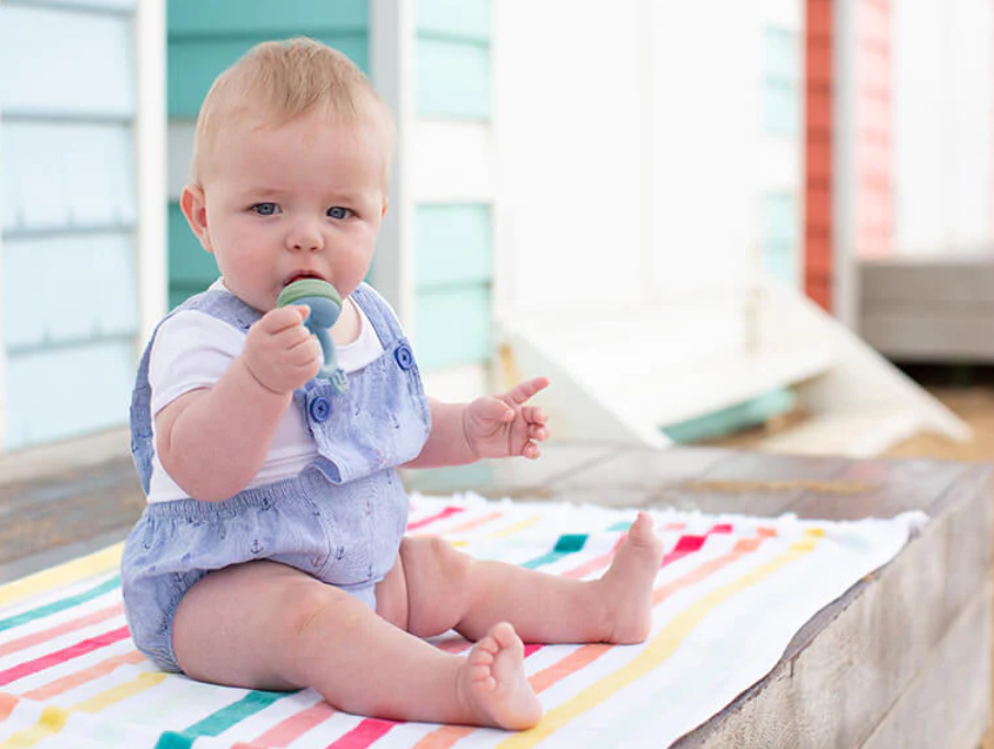 Baby Fresh Food Feeder – Tips and Advice
