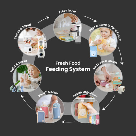 A circular infographic on a dark gray background showing the steps of a Fresh Food Feeding System, with six circular photos of children and adults demonstrating how to use a small blender, pour food into a pouch, add labels, store pouches, cool pouches, and twist-open pouches. The central text reads 'Fresh Food Feeding System.