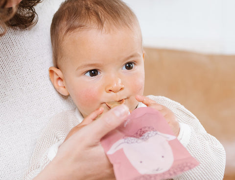 Baby Food and Yoghurt Pouch