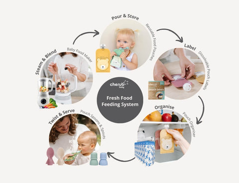 Baby Food Maker, Processor - Best Steamer Blender 