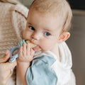 Silicone Baby Fresh Food Feeder & Nibble Tray & Replacement Net 2PK Bundle in Dusty Rose & Sand