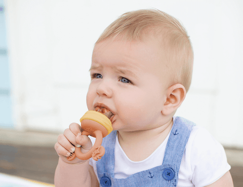 Silicone Fresh Food Feeder, UK