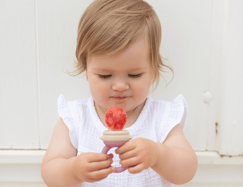Silicone Baby Fresh Food / Fruit Feeder 