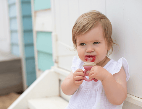 Silicone Baby Fresh Food Feeder/ Fruit Feeder, UK