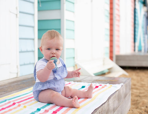 Silicone Baby Teether Toys - Fresh Food Feeder