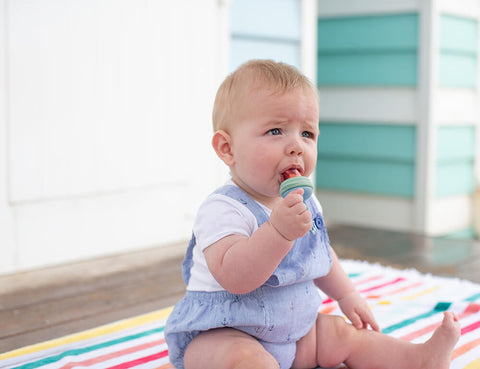 Silicone Baby Fresh Food Fruit Feeder 