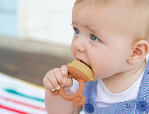 Silicone Baby Fresh Food Feeder Toys - Fruit Feeder