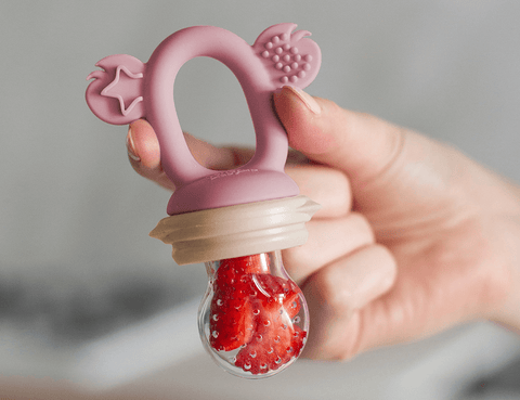 Silicone Baby Fresh Food Feeder- Fruit Feeder, UK