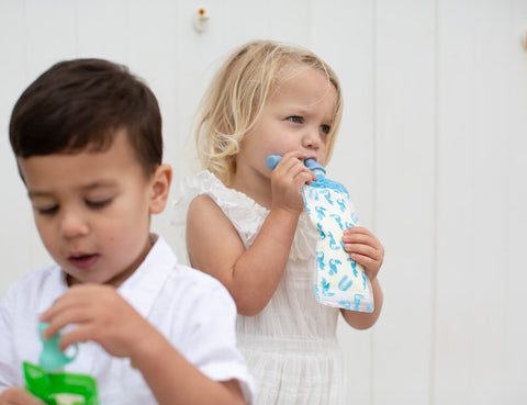 Silicone Food Pouch Soft Spouts 2PK - Cerulean/Sage